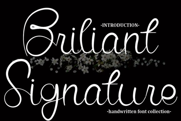 Briliant Signature Font for Web Design
