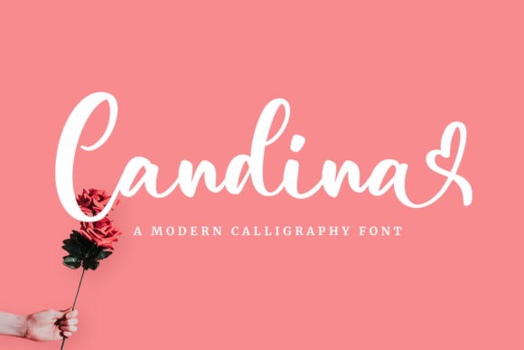 Candina: A Romantic Typeface for Elegant Design