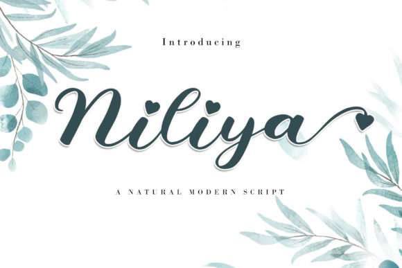 Niliya: A Romantic Calligraphy Typeface